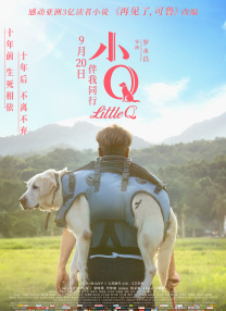 提手旁一个最